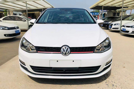 潍坊二手大众高尔夫 2015款 1.4TSI 自动豪华型
